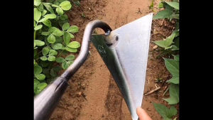 จอบสามเหลี่ยม จอบทำร่อง จอบอเนกประสงค์ จอบกำจัดวัชพืช จอบ 30 ปี จอบพร้อมด้าม จอบดายหญ้าคมๆ จอบดายหญ