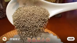 Somama Month Combo 7-9 Months Above Organic Baby Germ Rice + Glutinous Black  Millet