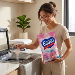 800g Ganso Detergent Powder 800g | Fresh Perfume | Colour ProtectionD1