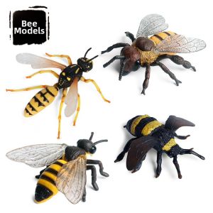 Realistic Educational Wild Insect Models