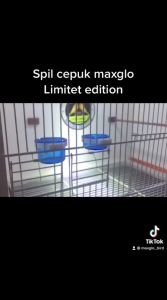 Cepuk Belgia Maxglo Italy 1 set (isi 3 pcs) tempat makan dan minum burung