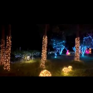 ไฟประดับตกแต่ง สว่างสดใส ไฟเส้น รุ่นใหม่ สีสันสวยงาม ไฟเทศกาลปีใหม่ แสงวอร์ม(แบบไม่กระพริบ) ดวงไฟ 80 LED ปลั๊กสามารถต่อพ่วงกันได้ ยาวได้ไม่มีสิ้นสุด