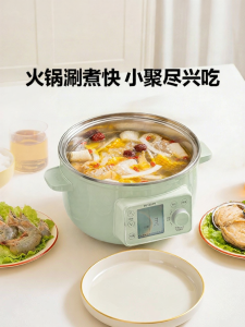 BUYDEEM | Multifunctional Electric Hot Pot Steamer