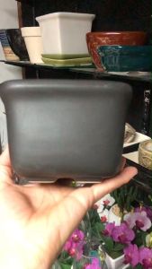 กระถางต้นไม้ขนาดเล็ก - กระถางแคคตัส ร่วมกับกระถางเซรามิคสี่เหลี่ยมสีดำ