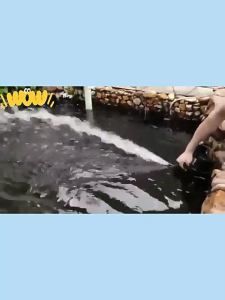 ปั๊มน้ํา ปั๊มน้ำขนาดใหญ่ SPF-606/609/612/620/628/638 ถังเก็บน้ํา แหล่งจ่ายไฟ ปั๊มปลา ปั๊มน้ําพุ ปั๊มกุ้งสะเทินน้ําสะเทินบกปั๊มน้ําหมุนเวียน