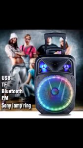 SPEAKER 15 INCH SUBWOOFER LAPANGAN SPEAKER BLUETOOTH BASS KARAOKE PORTABLE EXTRA BASS GRATIS WIRELESS MICROPHONE W1315