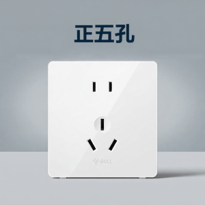 Bull | Wall Outlet Large Panel 86 Type 5 Holes