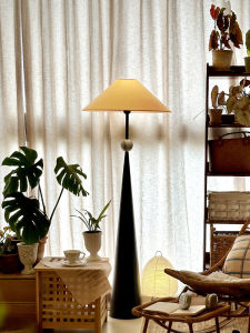 AOMAO | Modern Minimalist Atmosphere Floor Lamp