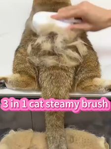 Pet Steam Hair Comb Brush with Spray for Cats and Dogs - USB Powered Soft Massage Comb