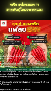 พริกขี้หนู แฟลชฮอท [ ขนาด50 กรัม ] ตราศรแดง  จะแดงหรือจะเขียวก็ขายได้