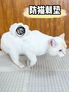 Rennas Cat Repellent Outdoor Scat Mat Anti-cat Net Pet Deterrent Plant Protection Mat On Sale