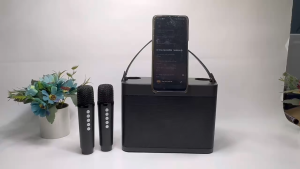 COD BAFOVY Speaker Bluetooth Super Bass Karaoke Portable with Wireless Microphone - WJ-A826