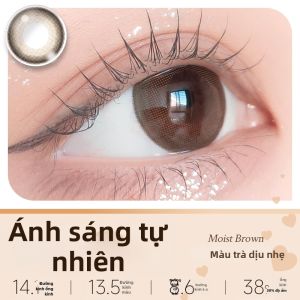T-Garden | Mắt Kính Kontakt Màu Sử Dụng 6 Tháng Thiên Nhiên 1 Cái