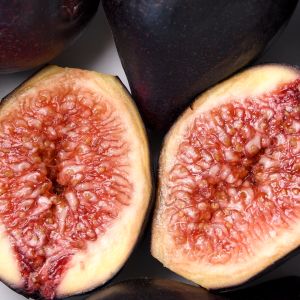 น้ำหอมฟิก สูตรน้ำ กลิ่น Fig Fury