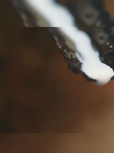 เสื่อลาเท็กซ์ไหมน้ำแข็งแผ่นกันรอยเตียง เสื่อปูเตียงทาทามิ เสื่อเตียงเครื่องปรับอากาศกันน้ำนุ่มลื่นรู้สึกเย็นสบาย ที่นอนพร้อมปลอกหมอนเสื่อเตียงหอพักนักเรียนฤดูร้อน