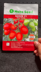 Benih bibit tomat ranum f1 naka seed