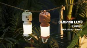 Tripolar Dimmable LED Bedside Night Light Camping Decorative Ambient Light