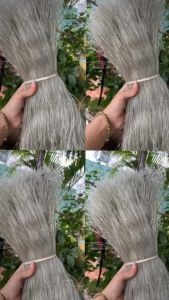 (5KG) MIẾN DONG THÁI TAY SỢI TO/SỢI NHỎ ĐẶC SẢN ĐIỆN BIÊN