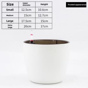 Square Green Dill Flowerpot Devils Ivy Succulent Plant Bean Bag Flowerpot Extra Large Diameter Small Size Automatic Water Feeding Flowerpot Plastic