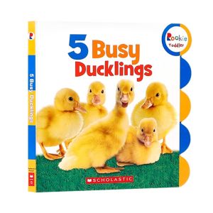 5 Busy Ducklings (Rookie Toddler) Board book by Scholastic Original English books