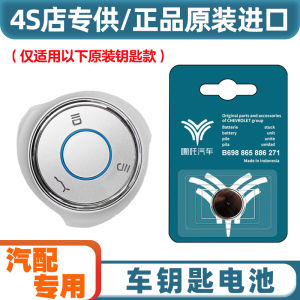 Pin Khóa Thông Minh Xe Điện Zhuika V Chuyên Dụng Cho Xe Hơi Năm 2021-2022 Pin Nút CR-2025 Phụ Kiện Kỹ Thuật Số