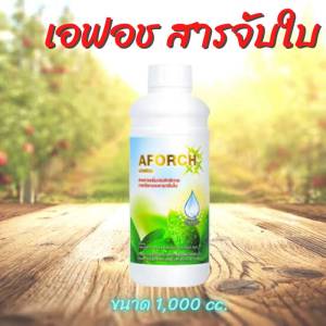 ชนิดเร่งดูดซึม ของแท้ Aforch เอฟอช 100 ml สารจับใบ 100% ของแท้
