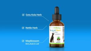 Pet Wellbeing - Young at Heart - Hỗ Trợ Sức Khỏe Tim Mạch Cho Chó Mèo - chai 59ml