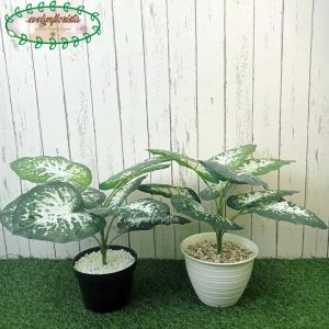 Tanaman Artificial Daun Sri Rejeki Hijau Corak Putih X9 Pot Dasar & Pot Tawon Dekorasi Pajangan Ruang Tamu