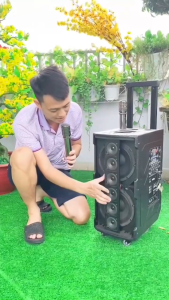 Loa Kéo Di Động Karaoke Gia Đình 3389 Chip DSP Bass Đôi 20cm Công Suất 1000W Loa 8 Đường Tiếng Kèm 2 Micro UHF Cao Cấp Nhẹ Hơi