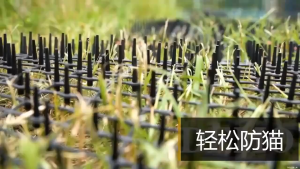 Cat Scat Mat Anti-Cat and Pest Plastic Prickle Strip Cat Repellent Pad Outdoor Anti Cat Dog 49*13CM