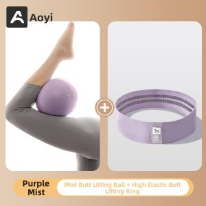 AOYI | Pelvic Floor Abdominal Core Training Pilates Yoga Ball