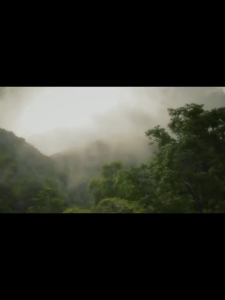 LDG Hand Cream Hydrating Moisturizing Dry Skin Care Hand Lotion