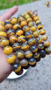 Collection Grade Natural Wealth Bowl Bumblebee Jasper Bracelet
