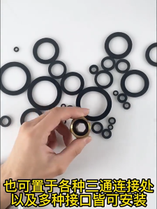 [HCM] ( 19mm ) Set 10 Gioăng Cao Su Ron Cao Su Cho Vòi Nước Dây Cấp Nước Dây Sen Tắm Dây Xịt Caesar Inax Toto Viglacera