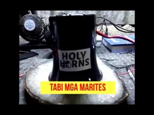 BACKHORN ⭐TABI MGA MARITES⭐ BACKHORN 12-24VOLTS INNOVATIVE VOICE WARNING BACKING ALARM back horn for truck 24v