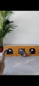 Cat Scratcher Tunnel & Bed 3-in-1 | Corrugated Paper Wear-Resistant Scratch-Resistant Cat House