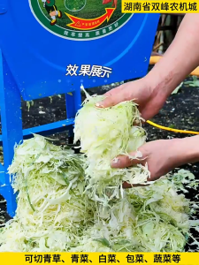 Chopper Rumput Malaysian Murah 3800W Feeding Penghancur Rumput Napier Mesin Green Feed Chopper