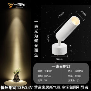 Focused Beam Spotlight Low Voltage 12V/24V for Living Room Tea Room Museum Buddha Hall Atmosphere Decoration LED Lamp Lighting