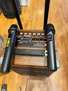 Portable sound system stereo  8in PMPO 6000watt