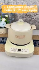 Ceramic Stew Pot Smart Sous Vide Cooker Cuisine Intelligente Electric Slow Cooker Baby Porridge Crock Pot Home Appliances