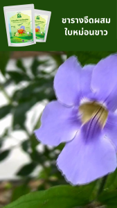 ชารางจืดผสมใบหม่อน ชาสมุนไพร ตราไร่กฤติยา สูตร 7