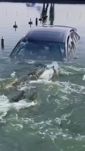 Dụng cụ thoát hiểm đa năng dùng cho ô tô