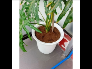 LOAM SOIL ORGANIC 9-10 KILOS MAGANDA SA HALAMAN PAMPA LAGO ORDER NOW