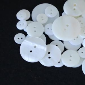 5-20 Chiếc Trắng Vỏ Tự Nhiên Nút 9-25 Mm Tròn 2 Lỗ Phụ Kiện May Vá Cho Quần Áo Áo Sơ Mi Túi Đồ Trang Trí