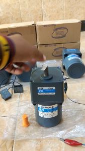 Dinamo AC Motor Gearbox 40W 220V Ratio - 1 : 100 13 Rpm ZD MOTOR Free Kapasitor Produk Impor