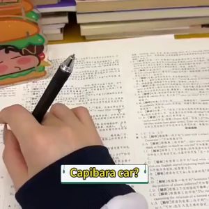 Đồ chơi capybara hài hước squishy capybara cuteđồ chơi squishy giảm stress có bánh xe hottrend_ĐCC