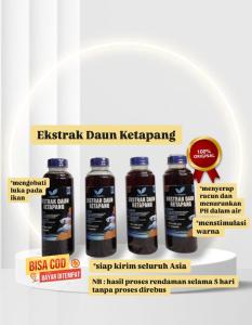 EKSTRAK DAUN KETAPANG LAUT OLAHAN 250ML KUALITAS PREMIUM PEKAT