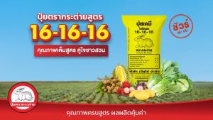 16-16-16 ตรากระต่าย ปุ๋ยเคมี สูตร กระสอบเหลือง