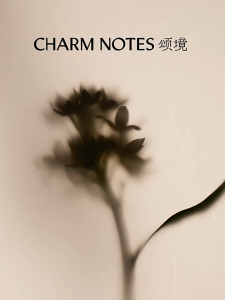 CHARM NOTES Volumizing Scalp Cleansing Shampoo Oil 385g Oil Control Soothing Strengthening Hair Care Suitable For Dry Oily Hair