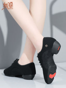 Latin Dance Shoes Womens Soft Bottom Oxford Cloth Dancing Shoes Mens Square Dance Comfortable Breathable Sport Shoes